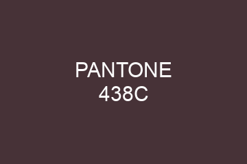 Peinture Pantone 438C