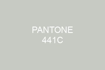 Peinture Pantone 441C