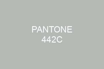 Peinture Pantone 442C