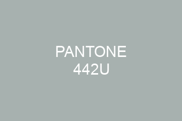 Peinture Pantone 442U