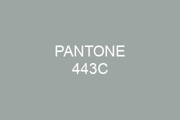 Peinture Pantone 443C