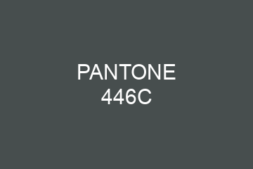 Peinture Pantone 446C