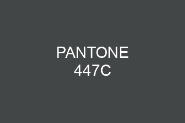 Peinture Pantone 447C