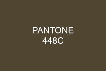 Peinture Pantone 448C