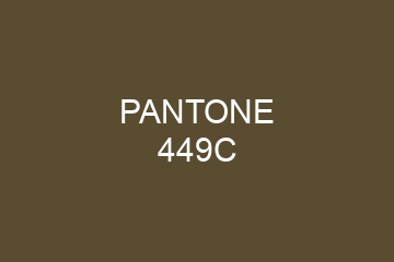 Peinture Pantone 449C