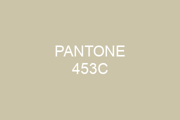 Peinture Pantone 453C