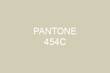 Peinture Pantone 454C