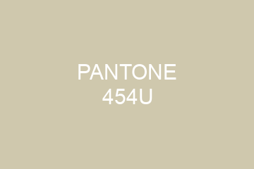 Peinture Pantone 454U