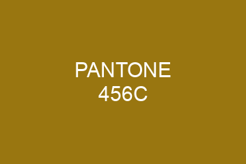 Peinture Pantone 456C