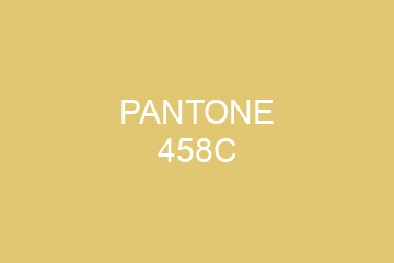 Peinture Pantone 458C