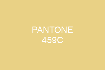 Peinture Pantone 459C