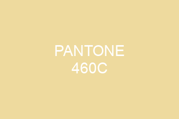 Peinture Pantone 460C