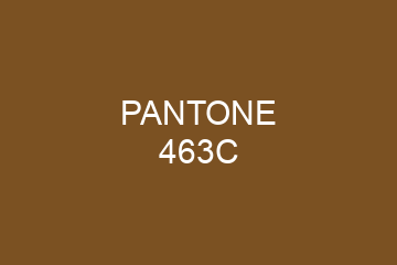 Peinture Pantone 463C