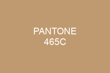 Peinture Pantone 465C