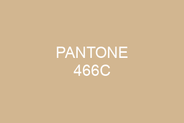 Peinture Pantone 466C