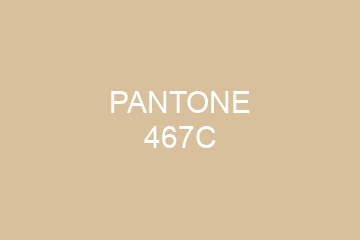 Peinture Pantone 467C