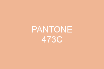 Peinture Pantone 473C