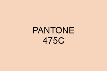 Peinture Pantone 475C