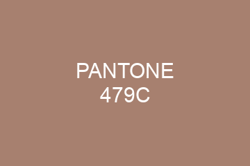 Peinture Pantone 479C