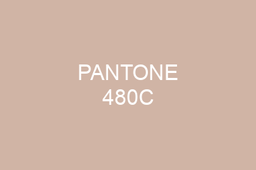 Peinture Pantone 480C