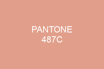 Peinture Pantone 487C