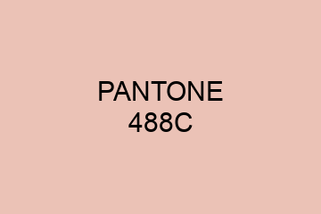 Peinture Pantone 488C