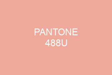 Peinture Pantone 488U