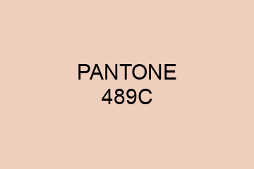 Peinture Pantone 489C