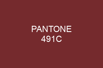 Peinture Pantone 491C