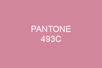 Peinture Pantone 493C