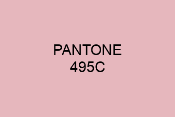 Peinture Pantone 495C