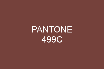 Peinture Pantone 499C