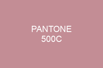 Peinture Pantone 500C