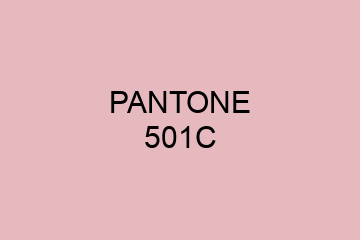 Peinture Pantone 501C