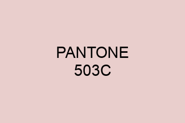 Peinture Pantone 503C