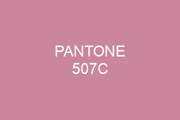 Peinture Pantone 507C