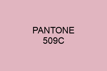 Peinture Pantone 509C