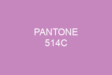 Peinture Pantone 514C