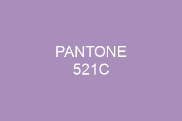 Peinture Pantone 521C