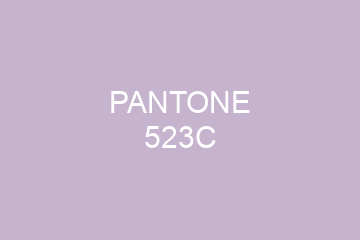 Peinture Pantone 523C