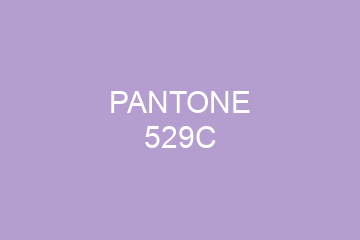 Peinture Pantone 529C