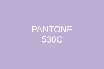 Peinture Pantone 530C