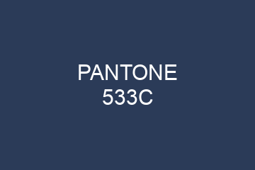 Peinture Pantone 533C