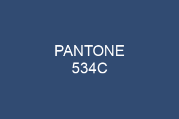 Peinture Pantone 534C