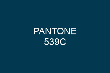 Peinture Pantone 539C