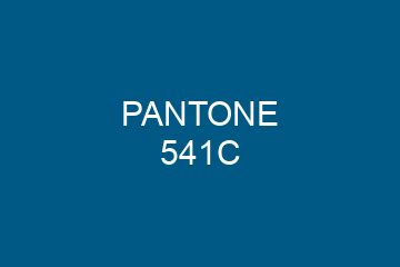 Peinture Pantone 541C