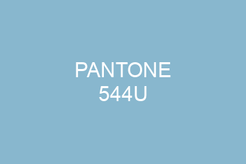 Peinture Pantone 544U