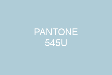 Peinture Pantone 545U