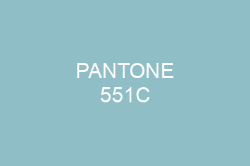 Peinture Pantone 551C