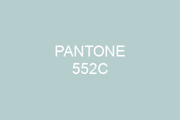 Peinture Pantone 552C